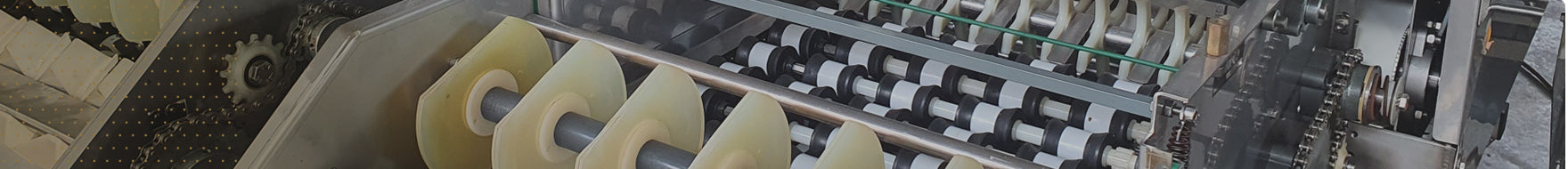 PS - Grader - Infeed Conveyor