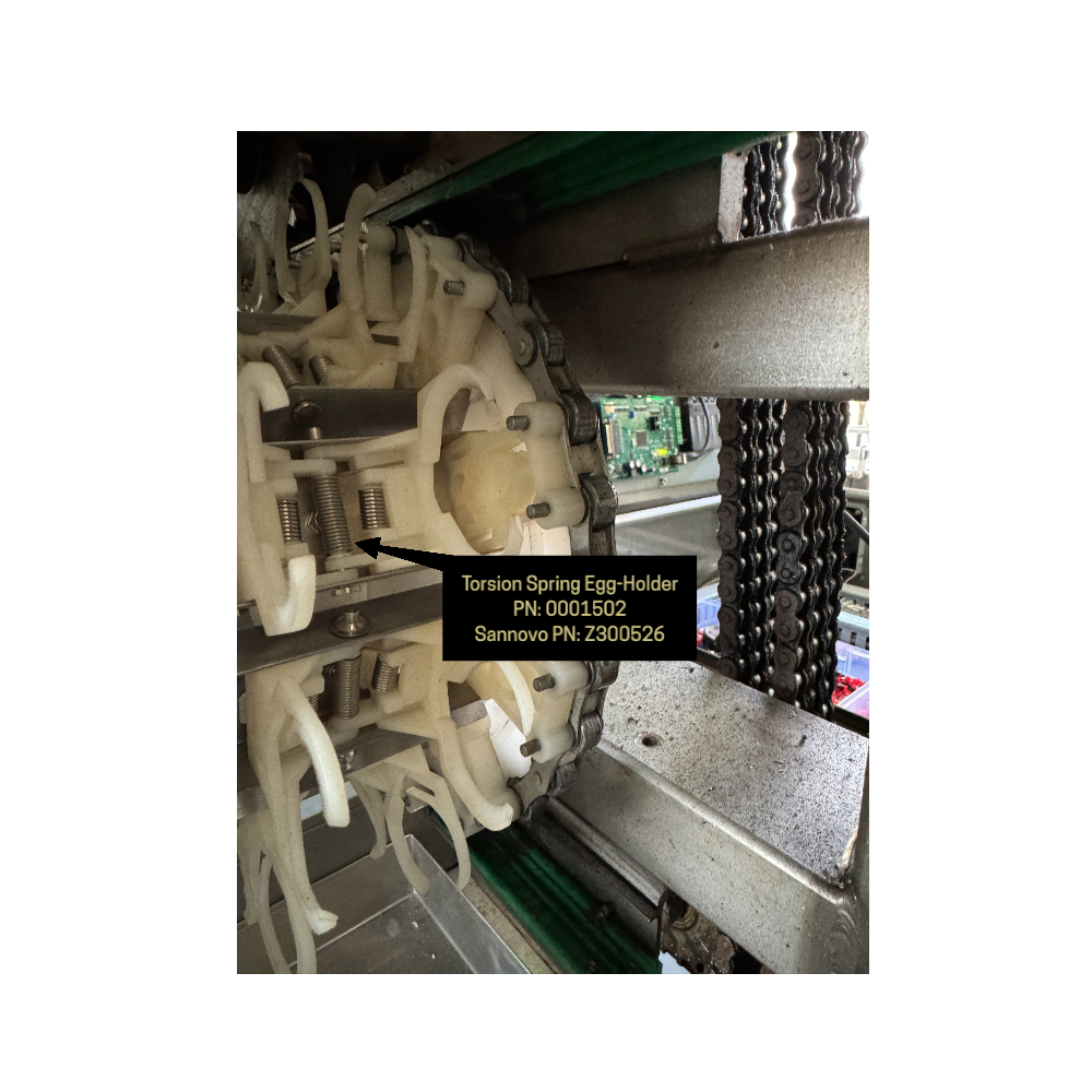 Torsion Spring Egg-Holder