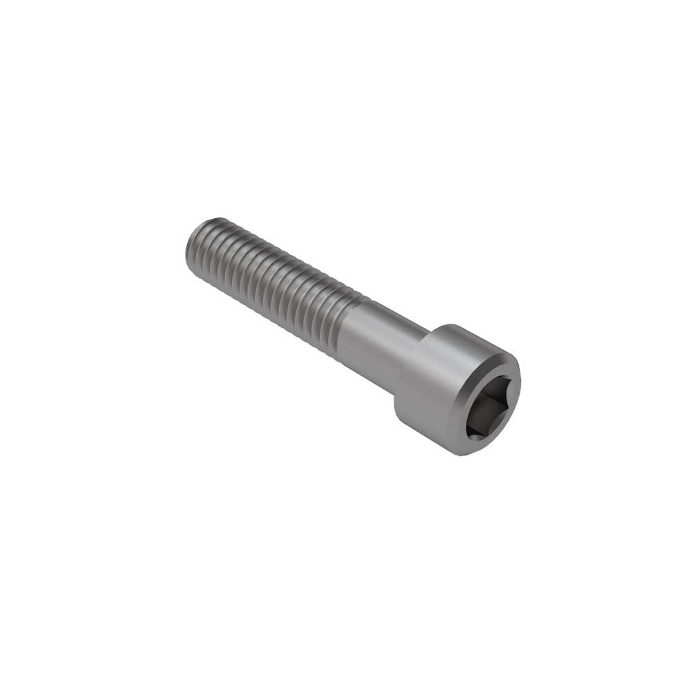 Socket Head Cap Screw M3x0.5x30mm (SUS)